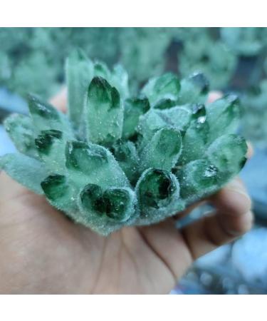 Home 300g-700g Natural Green Ghost Phantom Quartz Crystal Cluster Specimen Home Decoration Crystal Ornament Crystal Cluster (Size : 300g-400g) - Buy Online on GoSupps.com