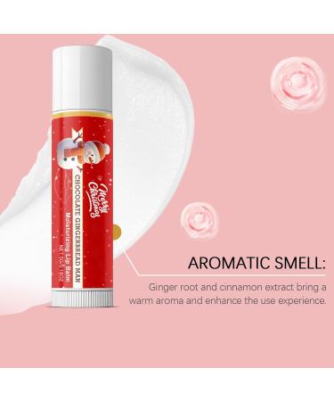 Moisturizing Lip Treatment | Long-Lasting Christmas Moisturizer | Non-Greasy Lip Repair Sticks | For Women and Men - Winter Birthday Holiday Travel Dates Everyday Use Party Office Work - Buy Online on GoSupps.com