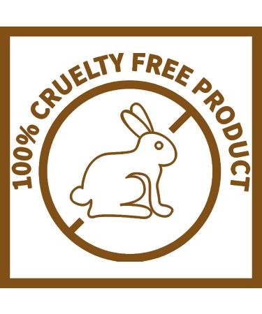 The Skin House Wrinkle Snail System Cream 50ml | Snail Mucin Collagen & Aloe Vera | Paraben & Cruelty Free Korean Skincare - Buy Online on GoSupps.com