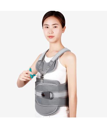 Wedf Thorakolumbale Solid Spinal Support Belt - Adjustable Lumbar Support for Herniated Disc Sciatica Stenosis & Scoliosis - Pain Relief Solution - Buy Online on GoSupps.com