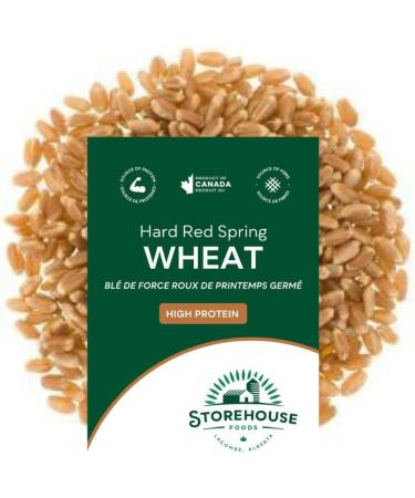StoreHouse Foods Hard Red Spring Wheat Berries No 1 Grade Bulk Raw Non-GMO Vegan Product of Canada (10 kg) 10 kg (Pack of 1) - Buy Online on GoSupps.com