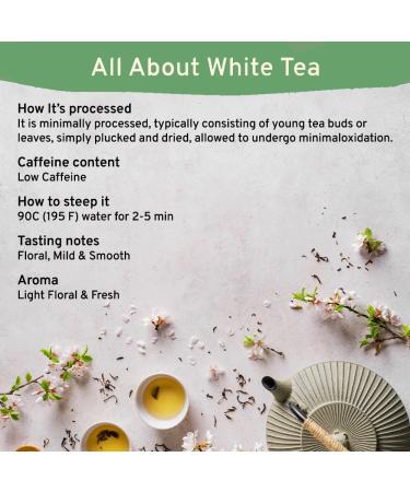 HANDPICK USDA Organic 100% Pure White Tea Mild & Smooth 100 Tea Bags - Buy Online on GoSupps.com