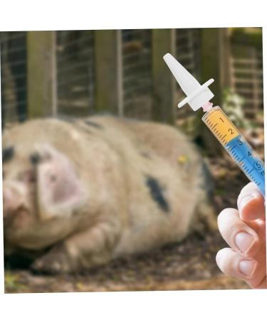 SUPVOX 20 Pcs Injection Heads Pig Supplies Fine Heads 4x2.5cmx2pcs Whitex2pcs - Buy Online on GoSupps.com