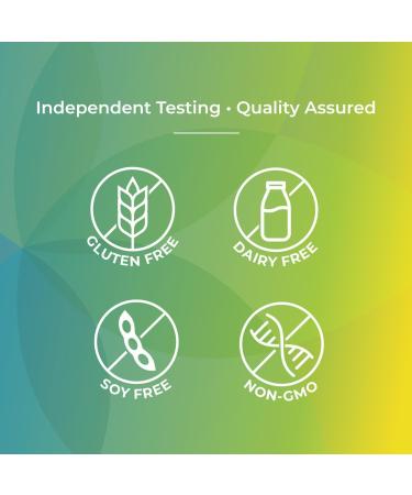 Synergy Holistics | Immune Synergy - Immune Support Supplement - 9 Clinically Validated Ingredients Astragalus Elderberry Eldermune Andrographis PANICIN Zinc & Sunfiber - 90 Veg Caps - Buy Online on GoSupps.com