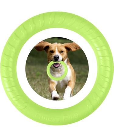 Qeeroyo Dog Fitness Ring - Interactive Training Toy for Small Medium & Large Dogs | Durable Dog Bite Ring & Flight Disc Toy - Green - Buy Online on GoSupps.com