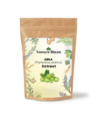 Indian Ayurvedic Amla Extract Powder 4 Oz / 0.25 lb Amla Extract 4 Ounce (Pack of 1)