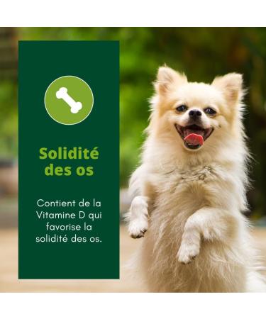 EQUILIBRE & INSTINCT - Adult Dog - Small Size - Poultry Croquettes - Bone Strength - Complete Recipe Formulated with Veterinarians - 5kg - Made in France - Buy Online on GoSupps.com