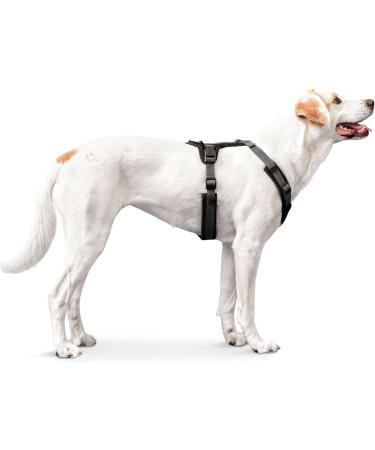 HUNTER Harness Maldon 53-71/M Black/Grey - Premium Adjustable Dog Harness for Comfortable International Shipping - Buy Online on GoSupps.com