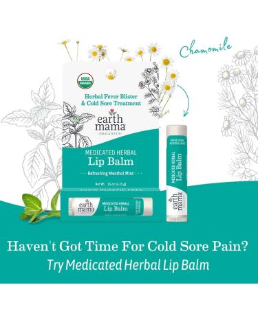Earth Mama Medicated Herbal Lip Balm | Organic Lip Balm with Menthol for Fever Blister & Cold Sore | Refreshing Menthol Mint Lip Care 0.15 oz (2-Pk) 1 Count (Pack of 2) - Buy Online on GoSupps.com