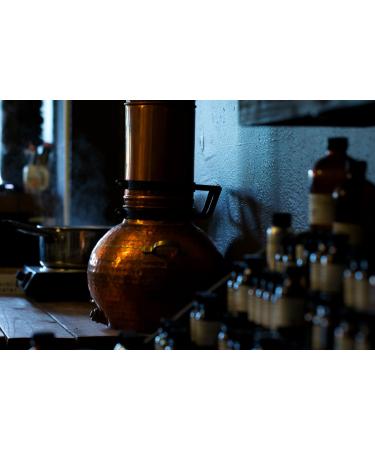 Amber Natural Perfume Rollerball 5 ml - Bitter Orange Nutmeg Black Spruce Carnation Tonka Bean Labdanum - Eau de Parfum - Buy Online on GoSupps.com