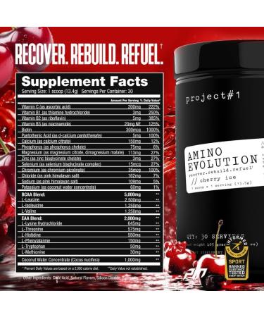 Project #1 AminoEVolution: Muscle Support & Recovery | BCAA's EAA's Electrolytes Powder | Keto-Friendly Energy Boost | Pre Workout for Men & Women | 30 Servings - Cherry Ice | Amino Acids - Buy Online on GoSupps.com