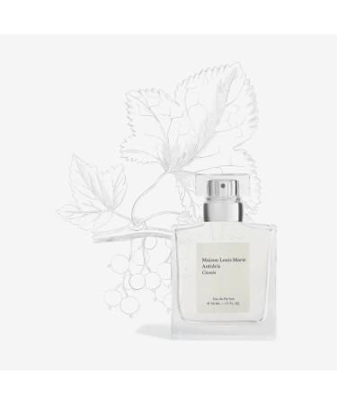 Maison Louis Marie - Antidris Cassis Natural Eau de Parfum Spray | Luxury Clean Beauty + Non-Toxic Fragrance (1.7 fl oz | 50 ml) - Buy Online on GoSupps.com