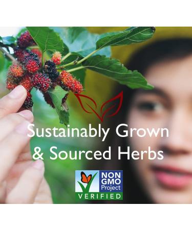 Bravo Tea Healthy Eyes - Caffeine Free Herbal Tea | 20 Tea Bags - Buy Online on GoSupps.com