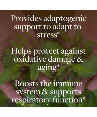 kokora Regenerative Holy Basil Regenerative Organic Certified Holy Basil Vegan Gluten-Free Relaxation & Healthy Stress Response Support 60 Capsules - Buy Online on GoSupps.com