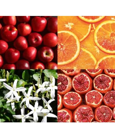 Tesori d'Oriente Persian Dream Bath Cream Aromatic Body Care with Pomegranate and Rooibos Tea Wellness Rituals for Body and Senses 500 ml - Buy Online on GoSupps.com