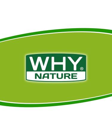  WHY NATURE WHY NATURE INSTANT OATMEAL FLOUR - Flavored instant oatmeal - Neutral taste - Gluten free - 1kg - Buy Online on GoSupps.com