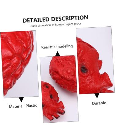 ABOOFAN 2 Pcs Simulated Organ Lunch Box Body Organs Props Fake Body Parts Cosplay Body Parts Halloween Realistic Heart Halloween Body Parts Halloween Decor Plastic Artificial Bloody - Buy Online on GoSupps.com
