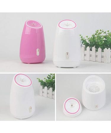 Machine De Beaut Compteur D'eau La Maison Des Fruits Et L gumes Visage Nano Cuisson La Vapeur Fruit Cuisson La Vapeur Hydratant Instrument Vapeur Pulv risation Chaud Unisexe Blanc White - Buy Online on GoSupps.com