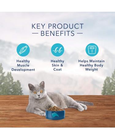 Blue Buffalo Wilderness High Protein Grain Free Natural Adult Indoor Dry Cat Food Chicken 4.9kg bag - Large Bag kibble - Buy Online on GoSupps.com