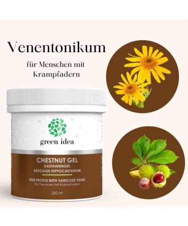 Green Idea Rosskastanien Ointment Gel for Varicose Veins - Leg Cream with Arnica & Horse Chestnut - 200ml Venensalbe for Spider Veins & Hemorrhoids - Buy Online on GoSupps.com