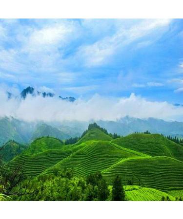 250g Longjing th vert printemps chinois Dragon bien Long Jing th naturel - Buy Online on GoSupps.com