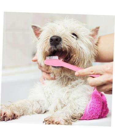 Levemolo 12pcs Double Head Dog Toothbrush Dog Oral Cleaning Toothbrush Cat Toothbrush and Toothpaste Pet Pp - Buy Online on GoSupps.com