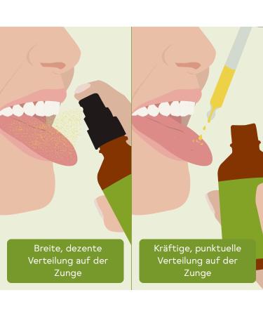 BitterLiebe Bitter Substances Spray 50ml | Hildegard von Bingen Bitter Drops | Natural Bitter Herbs from The Lion s Den - International Shipping Available - Buy Online on GoSupps.com