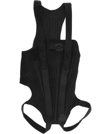 Dog Back Bracer Polyester Dog Back Supporting Brace Dog Back Bracer Strong Rigidity Flexible Back Support IVDD Relief Back Relieve discomfort Illness Injury Support Dog Vest Back Large - Buy Online on GoSupps.com