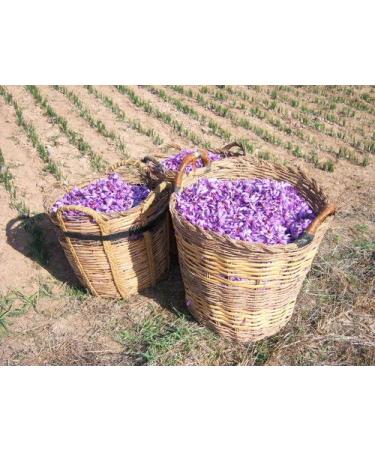 Kirtland Signature La Mancha Spanish Saffron Select - 1g (.035oz) | Premium Quality Saffron Threads - Buy Online on GoSupps.com
