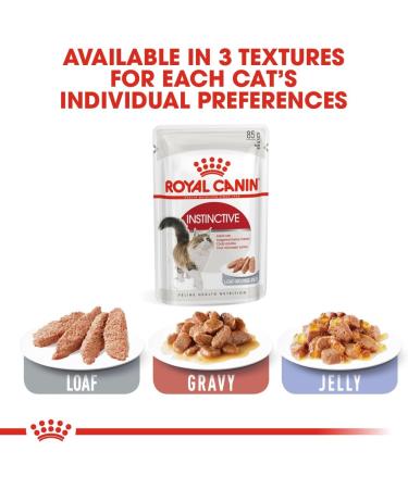 Royal Canin Kitten in Loaf 85g (Pack of 12) - Buy Online on GoSupps.com