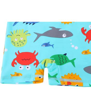 HUAANIUE Baby Boys One Piece Rash Guard Swimsuit with UPF 50+ Sun Protection and Matching Hat | Swimming Beachwear for 6-12 Months - Buy Online on GoSupps.com