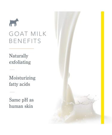 Beekman 1802 Vanilla Absolute Hand Cream - Moisturizing Goat Milk Lotion for Dry & Sensitive Skin - 3.4 oz - Buy Online on GoSupps.com