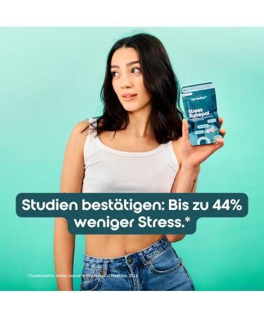Be Tanics Stress Ruhepol - 60 Capsules for Nerve & Cell Protection | Vitamin B2 Dietary Supplement - Boost Your Wellbeing - Buy Online on GoSupps.com