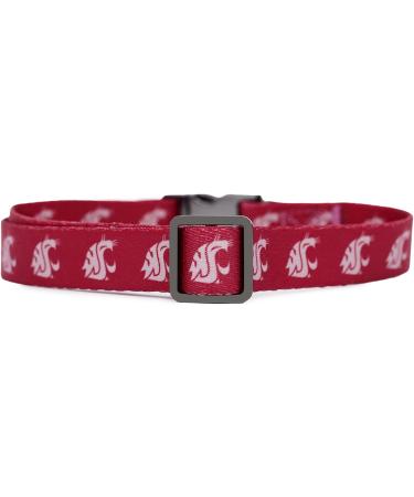 Washington State Cougars Officially Licensed Collar and Leash Set for Small Pets - Buy Online on GoSupps.com