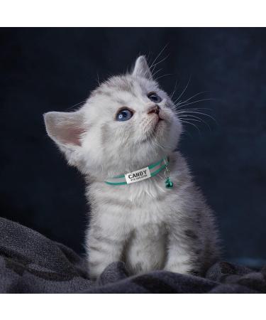 Tagme 2 Pack Cat Collars with Name & Phone Number - Safety Clasp & Bell - Adjustable 15-20 cm for Kittens - Turquoise - Buy Online on GoSupps.com