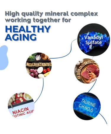 Big-V Triple Strength Dietary Supplement with Vanadyl Sulfate 30mg, Taurine 800mg, Selenium, Chromium, Niacin - Blood Sugar Support - 90 Capsules - Buy Online on GoSupps.com