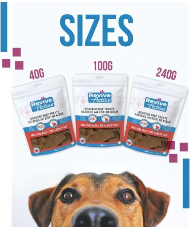 Revive Active Roasted Beef Treats for Dogs 40gr Dog and Puppy Chews - Pure and All Nutritive Low Calorie Training Treats - Large and Small Dogs Flavor Dogs Love. 40 g (Pack of 1) - Buy Online on GoSupps.com