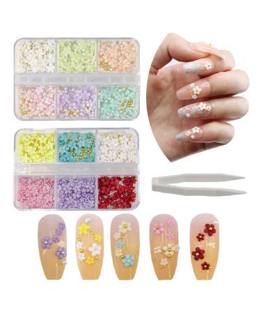 2 Boxes 3D Flower Nail Art Charms  12 Colors 3D Acrylic Flower Nail Rhinestones with Gold Silver Gold Caviar Beads Pearls Manicure for DIY Nail Decorations