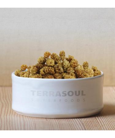 Terrasoul Superfoods Organic Sun-Dried White Mulberries 4 Lbs (4 Pack) - Low Glycemic & Vitamin C-Rich - Buy Online on GoSupps.com