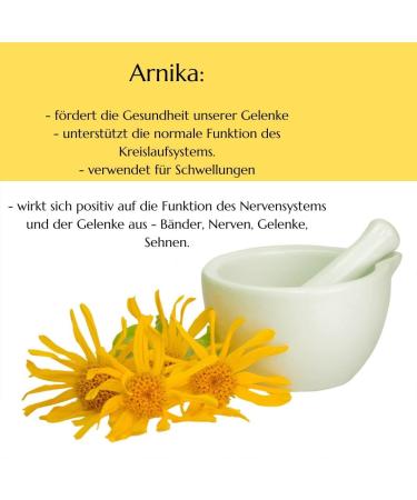  green idea green idea - Arnica Montana Herb Extract - Sports Massage - For Bruises and Sprains - Bruises - Hair Strengthening - Muscle Relaxation - Natural - With Menthol 100 ml - Buy Online on GoSupps.com