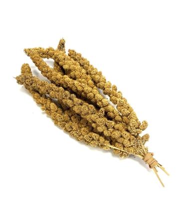 Millet Sprays x 10 Premium Cage Bird Food Seed Natural 10 count (Pack of 1)