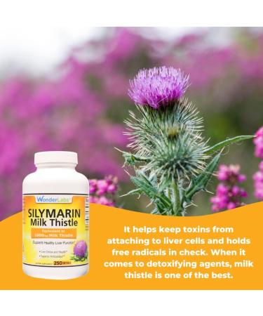 Wonder Labs Silymarin Milk Thistle Supports Healthy Liver Detox - 250 Capsules 250 Count (Pack of 1) - Buy Online on GoSupps.com