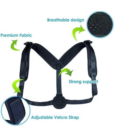 Back Braces Back Posture Corrector Shoulder Lumbar Brace Spine Support Belt Adjustable Adult Corset Relieve Pain Posture StrapsBody - Buy Online on GoSupps.com
