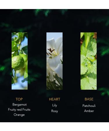 Naseem Shabab Women's Perfume Pheromone Perfume - Arabian Perfume for Women Non Alcoholic & Long Lasting Perfume with Fruity Floral & Amber scent 2.7 Fl Oz - Buy Online on GoSupps.com