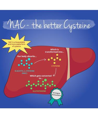 Vegavero NAC Supplement NAC N Acetyl Cysteine 600 mg - 120 Capsules - Buy Online on GoSupps.com