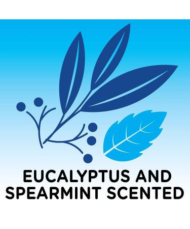 Solimo Eucalyptus & Spearmint Scented Foaming Bath with Essential Oils - 34 Fl Oz | Amazon Brand - Buy Online on GoSupps.com