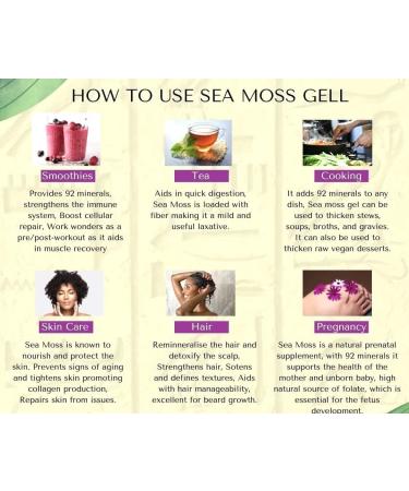 3 x 250ml Packs Organic Caribbean Sea Moss Gel with a hint of Nutmeg & Cinnamon -Fairly Priced and Shipped Free Within 24hrs  - Buy Online on GoSupps.com