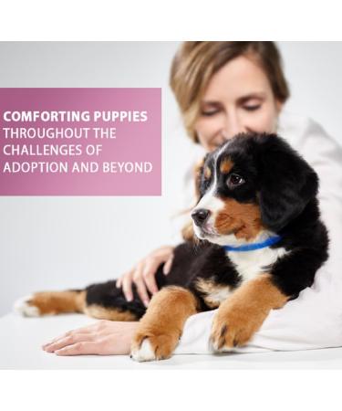 ADAPTIL Junior Calming Collar for Puppies - Reduce Crying & Whining and Improve Focus & Learning Dog Appeasing Pheromone Collar - (Puppy Calming Collar 1 Month Single Pack) - Buy Online on GoSupps.com