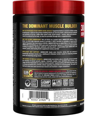 ALLMAX Nutrition Aminocore Bcaa - 8g Bcaas - 100% Pure Branch Chained Amino Acids - Gluten Free 315 gram White Grape White Grape 30 Servings (Pack of 1) 8g Bcaas - Buy Online on GoSupps.com