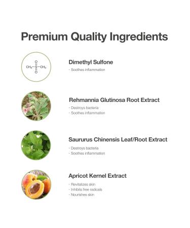 Purifying Foaming Wash | Anti-Acne Cleanser for Sensitive Skin | Wintergreen & Salicylic Acid | Acne-Prone & Oily Skin | 100ml - Buy Online on GoSupps.com